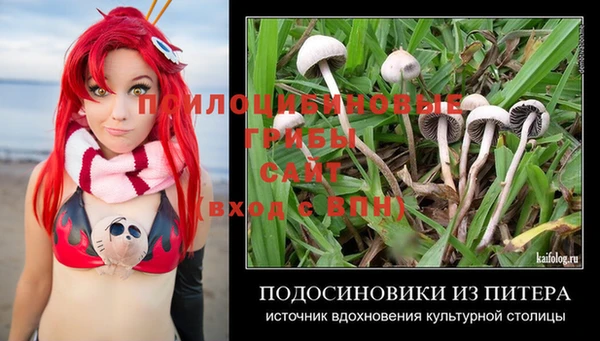 COCAINE Богородск