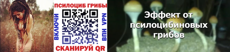 мега рабочий сайт  где купить наркоту  Иваново  Псилоцибиновые грибы Magic Shrooms 